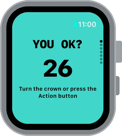 The You OK? check-in with a 26 second countdown