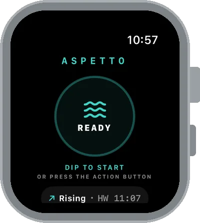 Aspetto on the watch: READY, dip to start or press the Action button